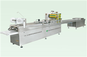 自动热成型型(拉伸摸)真空包装机